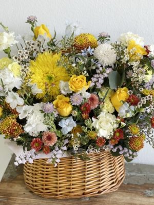 ♥ We are today ♥