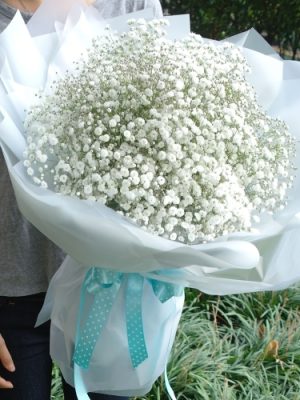 Cotton Candy MissBong