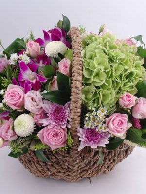 Congratulations on giving birth.