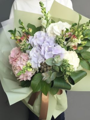 Women's favorite hydrangea