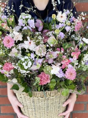 You are my celebrity