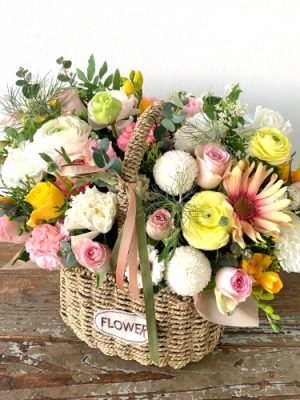 ♪ ~Spring has arrived~ ♪