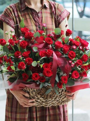 Premium Red**Summer Limited Sale**