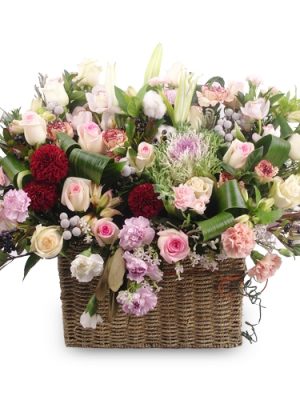 You like Go Hyeon-jeong