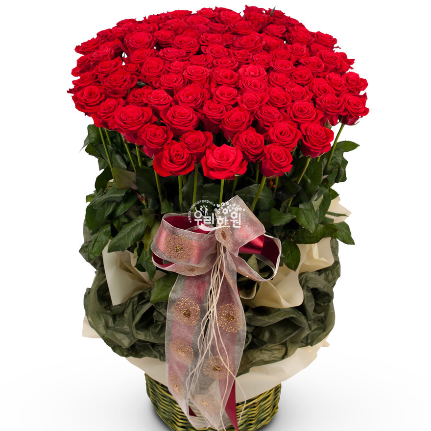 rac1044-1 상세이미지