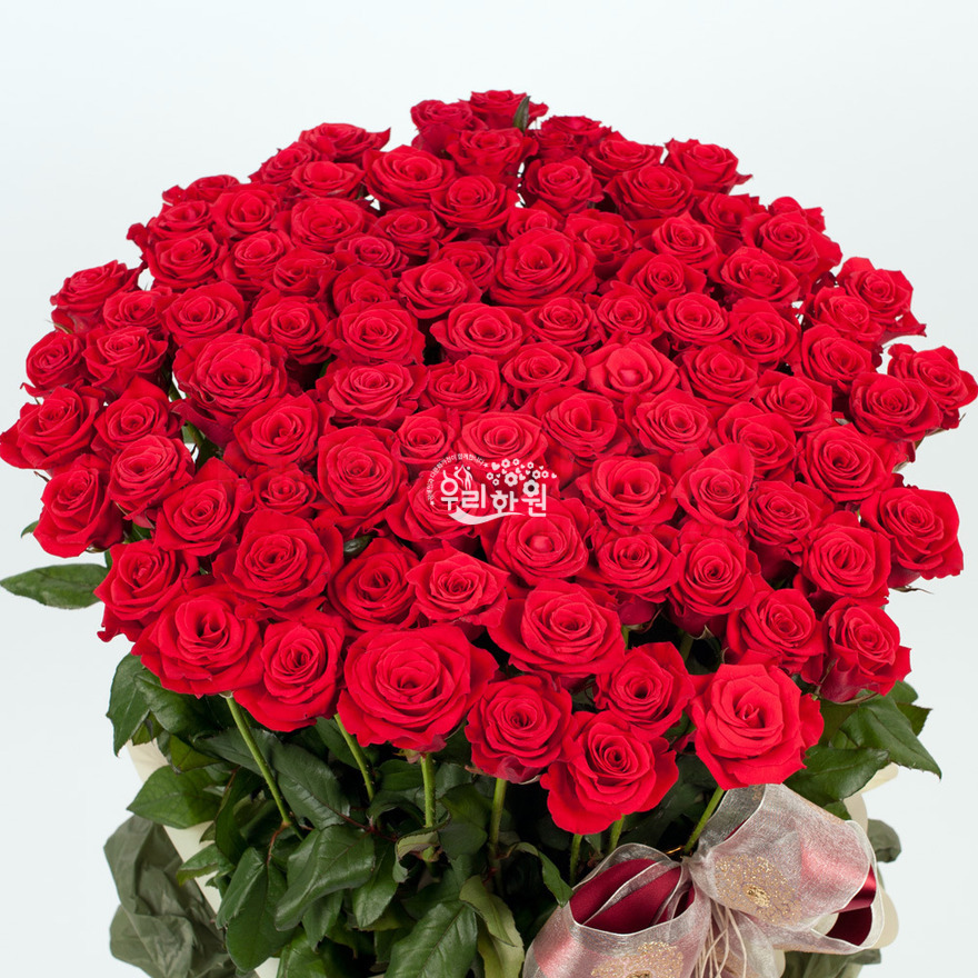 rac1044_2 상세이미지