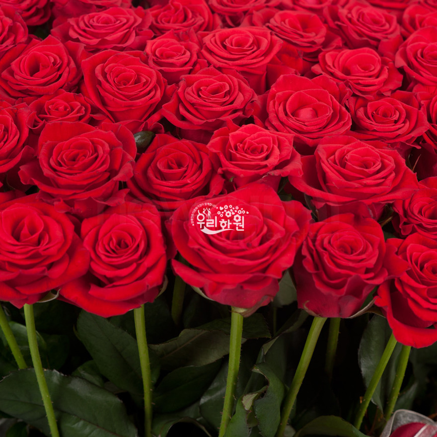 rac1044_3 상세이미지