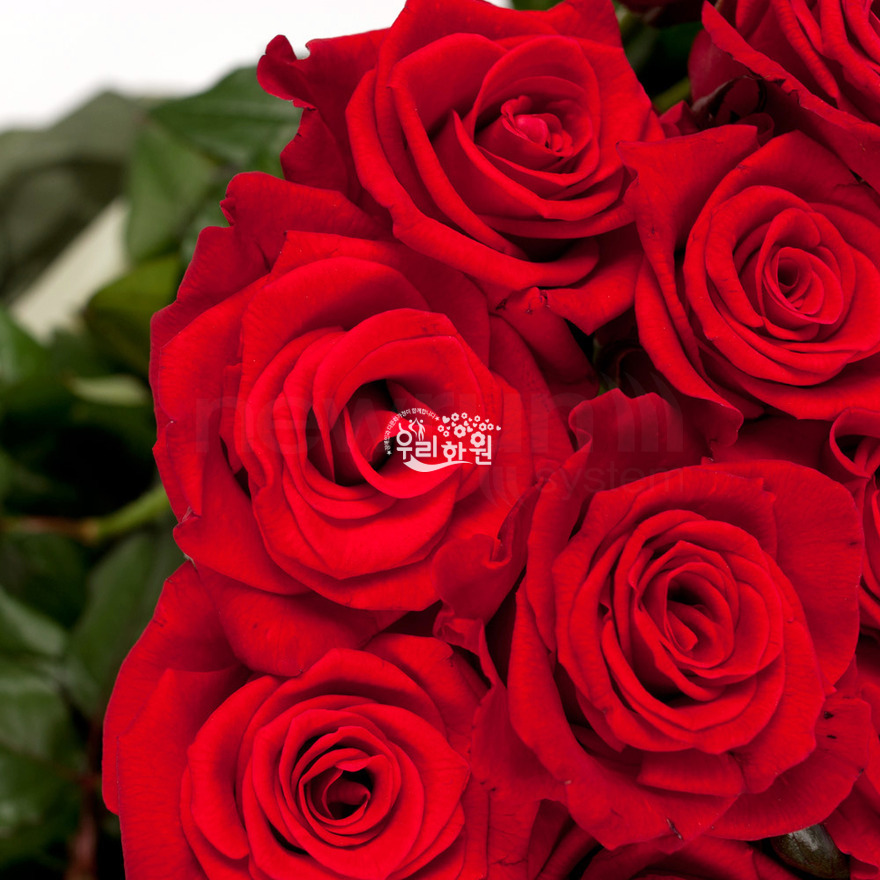 rac1044_4 상세이미지