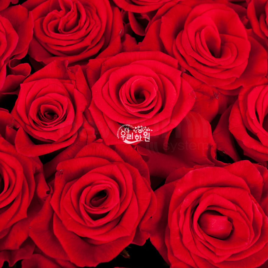 rac1044_6 상세이미지