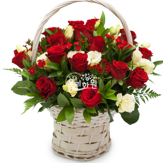 Sentinel of Love ♥ Most Popular Item