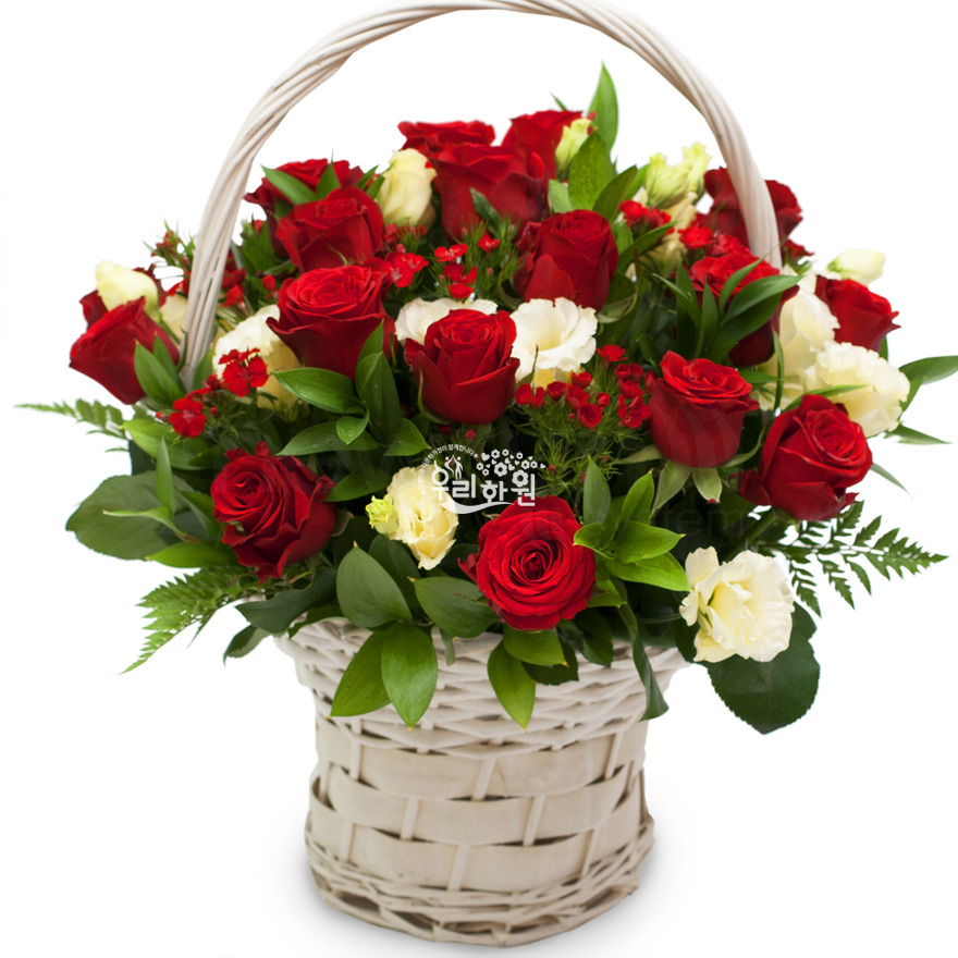 rac1048-2 상세이미지