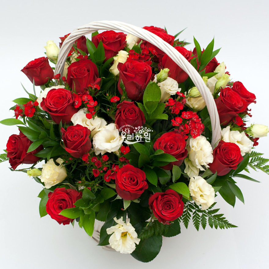 rac1048_1 상세이미지