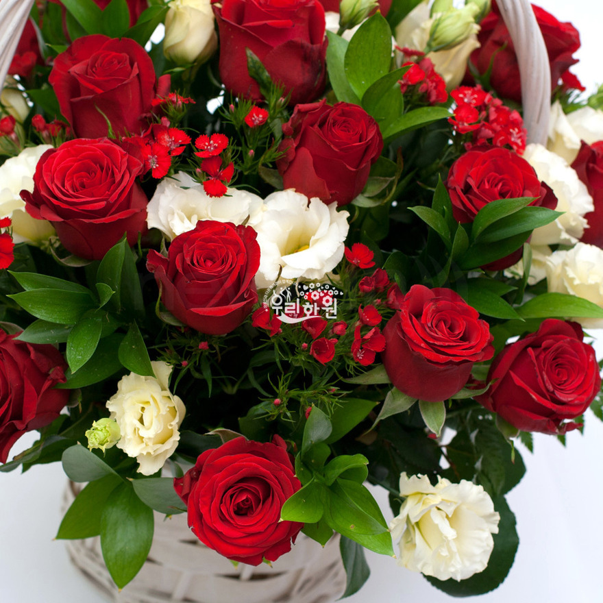 rac1048_3 상세이미지