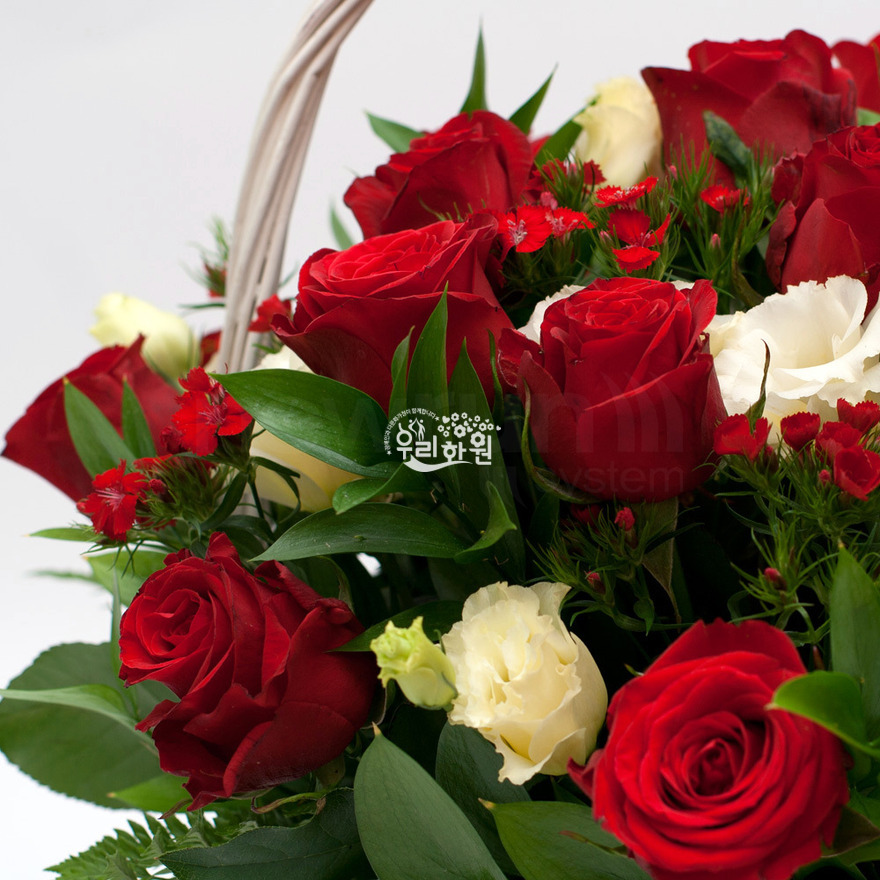 rac1048_4 상세이미지