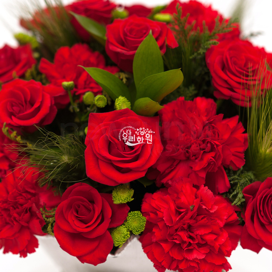 rac1056_4 상세이미지