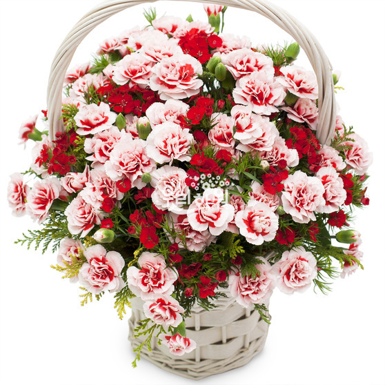 Carnation basket No. 2