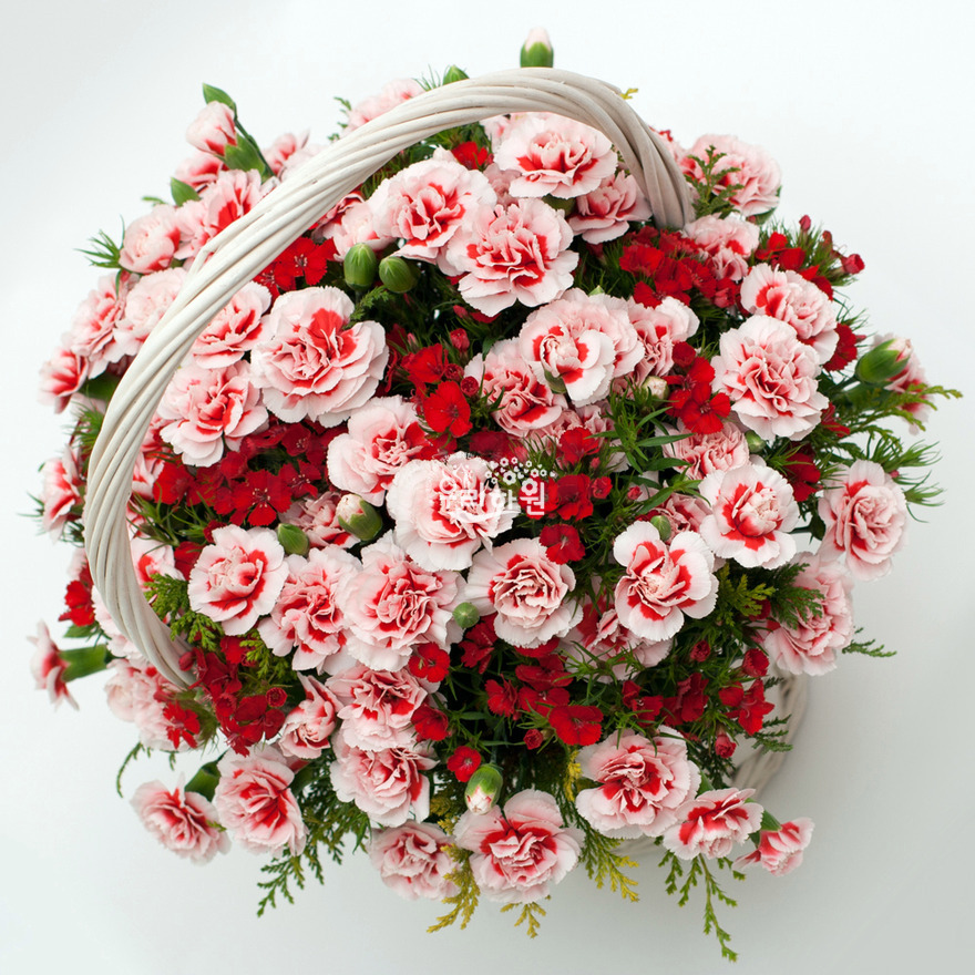 rac1071_1 상세이미지