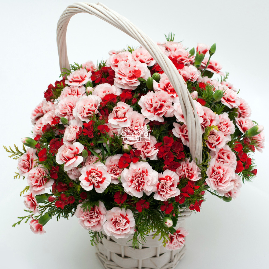 rac1071_2 상세이미지