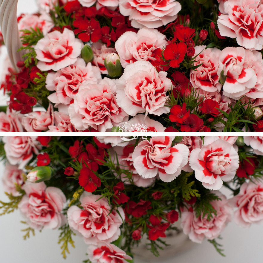 rac1071_3 상세이미지