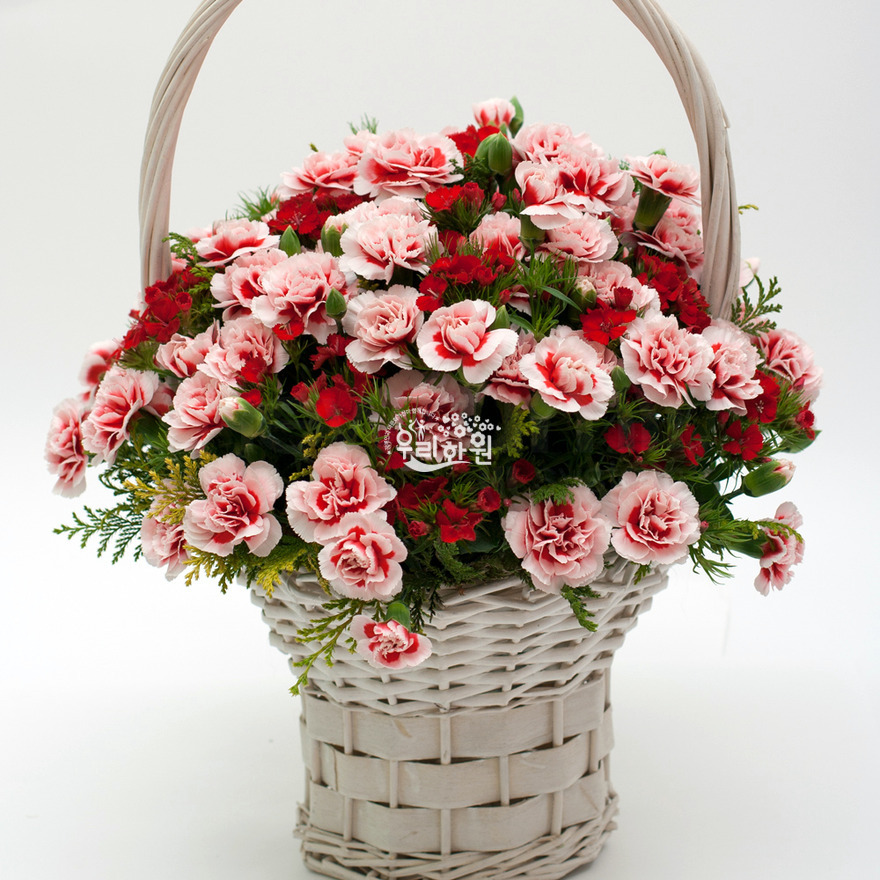 rac1071_6 상세이미지