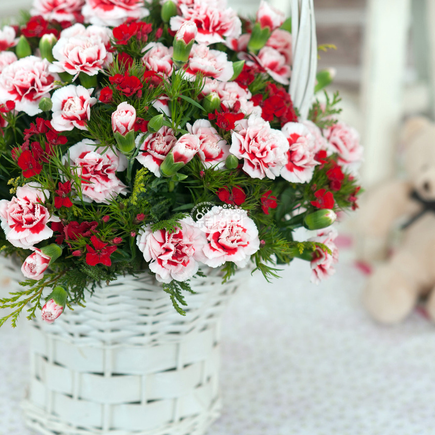 rac1071_7 상세이미지