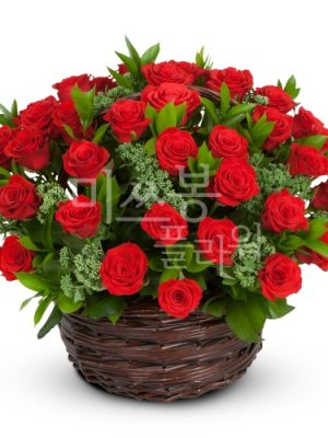 basic red rose basket