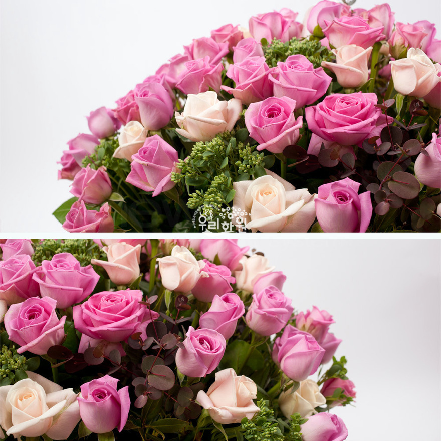 rac2028_3 상세이미지