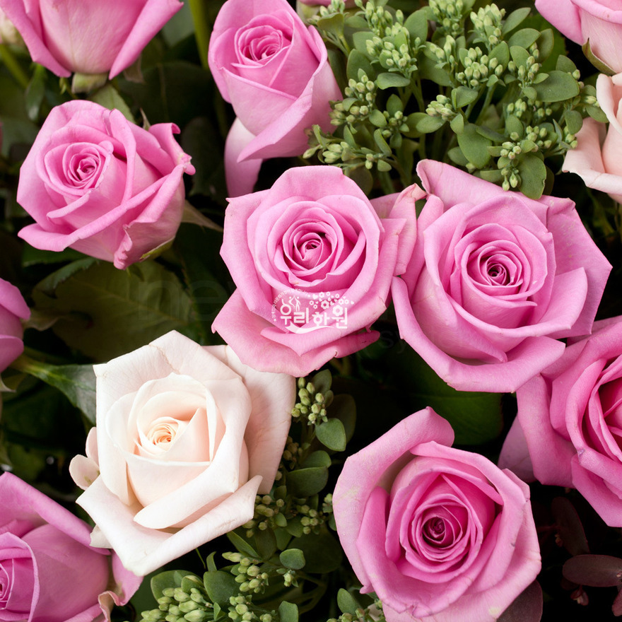 rac2028_6 상세이미지