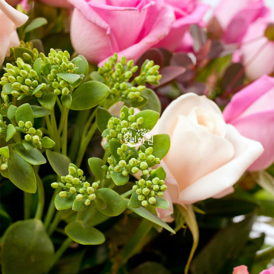 rac2028_8 상세이미지