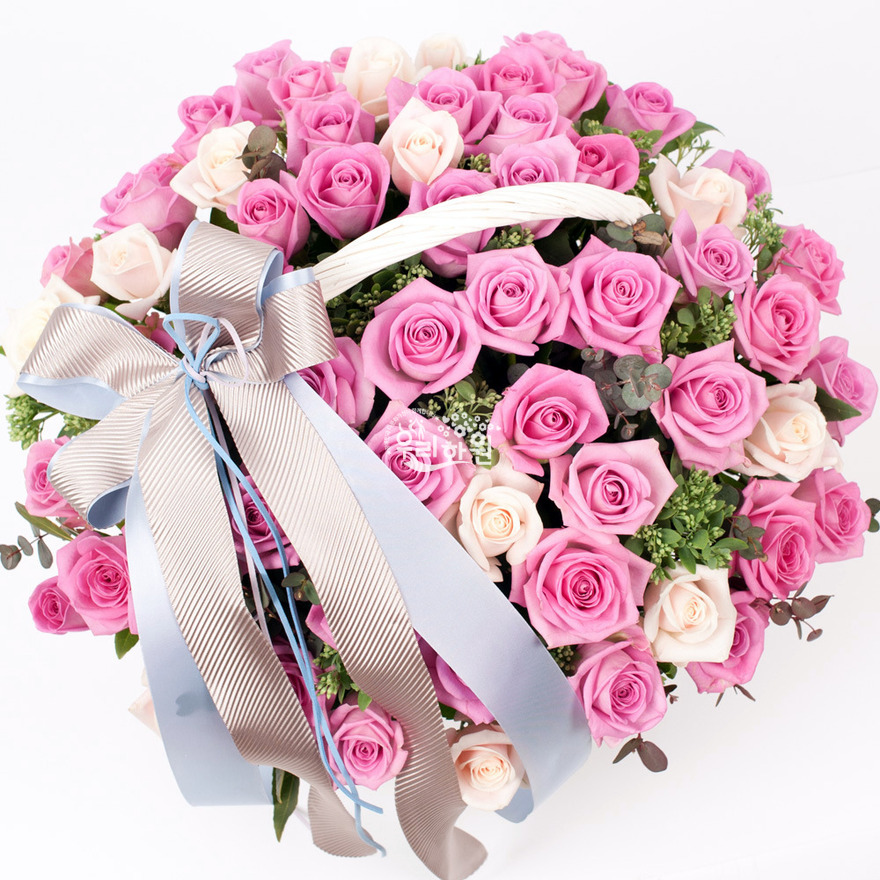 rac2038_1 상세이미지