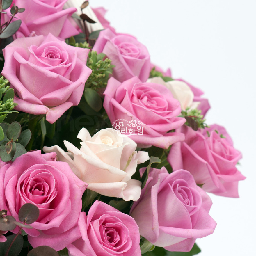 rac2038_3 상세이미지