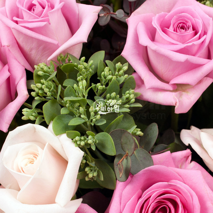 rac2038_6 상세이미지