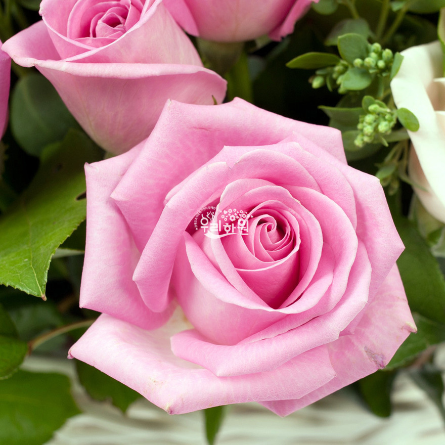 rac2038_7 상세이미지