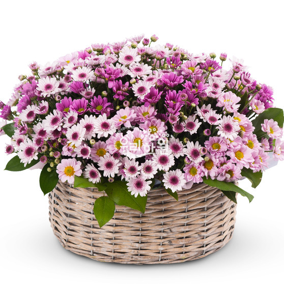 Small country basket (small)