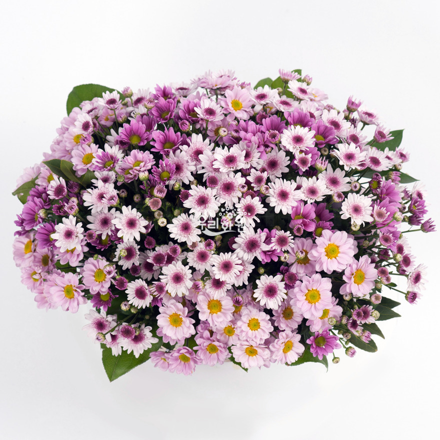 rac2065_1 상세이미지