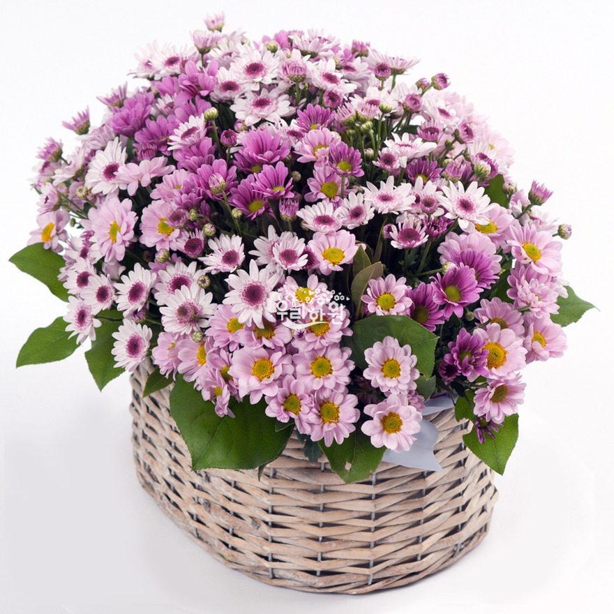 rac2065_2 상세이미지