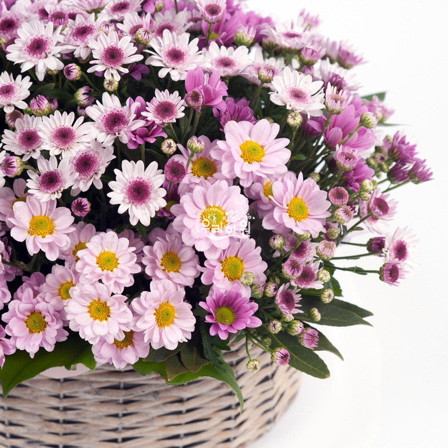 rac2065_3 상세이미지