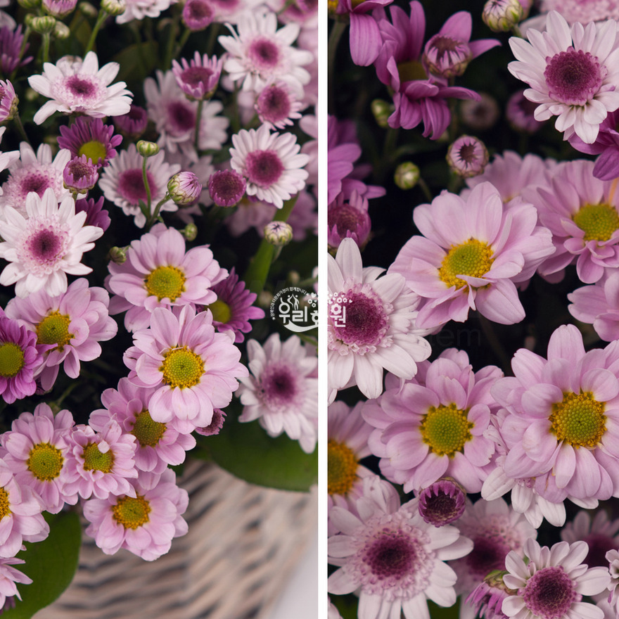 rac2065_4 상세이미지