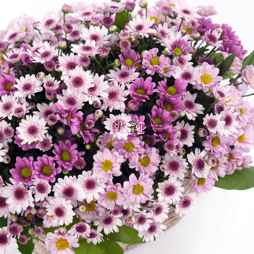 rac2065_6 상세이미지