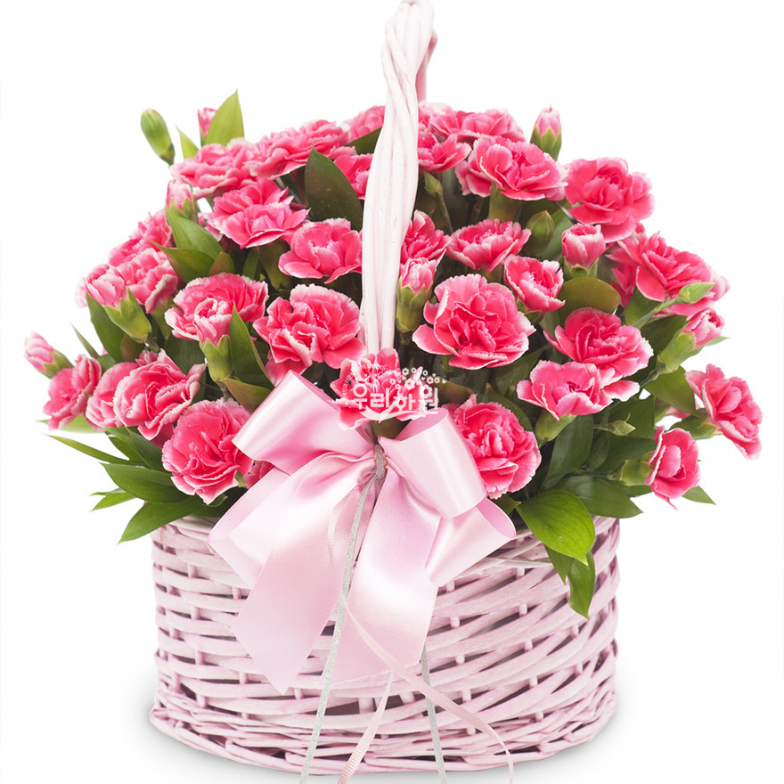 rac2070-1 상세이미지