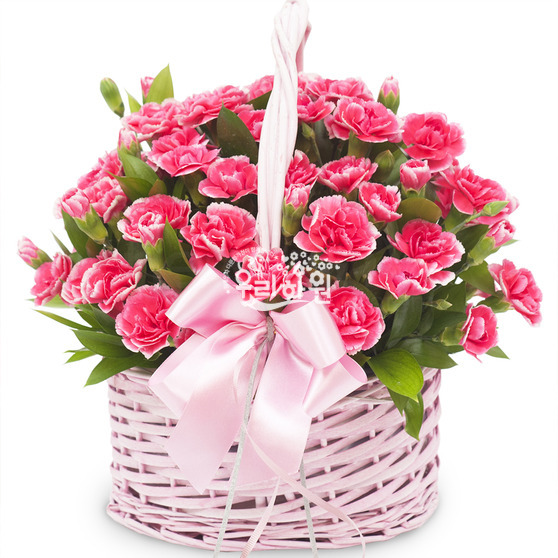 spray carnation basket 1