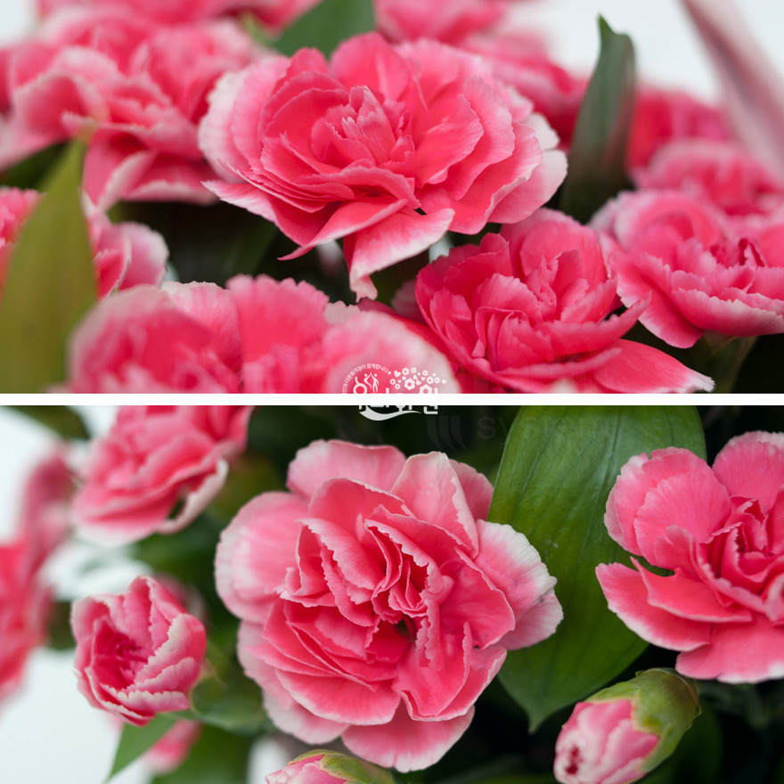 rac2070_4 상세이미지