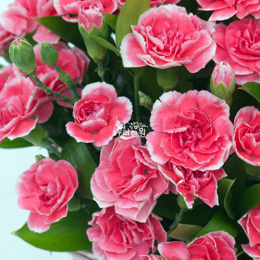 rac2070_6 상세이미지