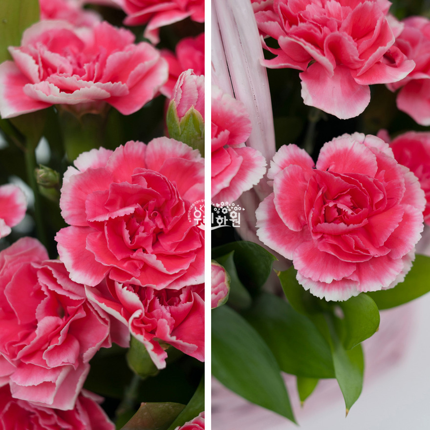 rac2070_7 상세이미지