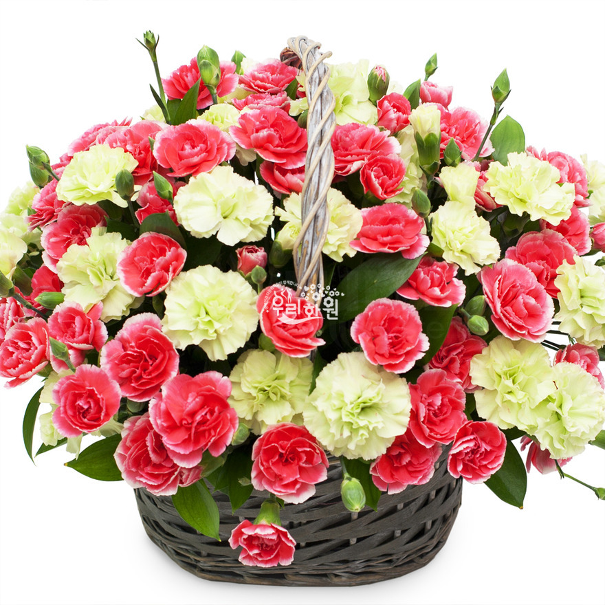 rac2072-1 상세이미지