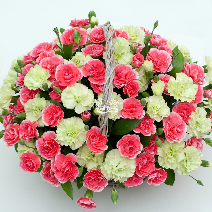 rac2072_1 상세이미지