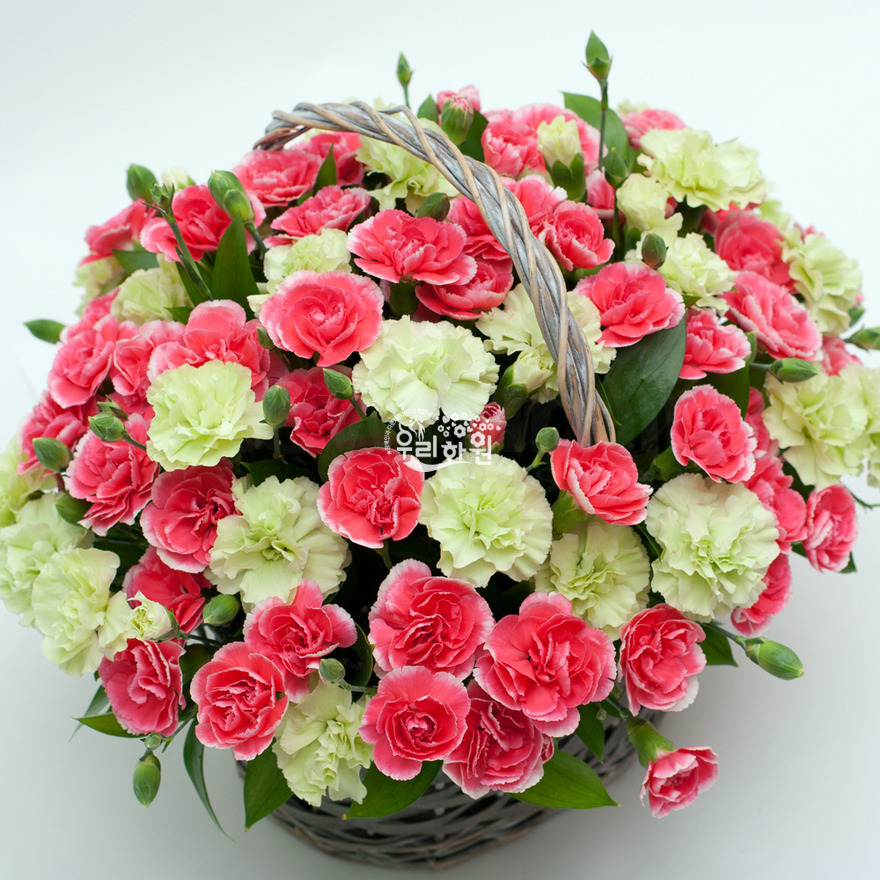 rac2072_2 상세이미지