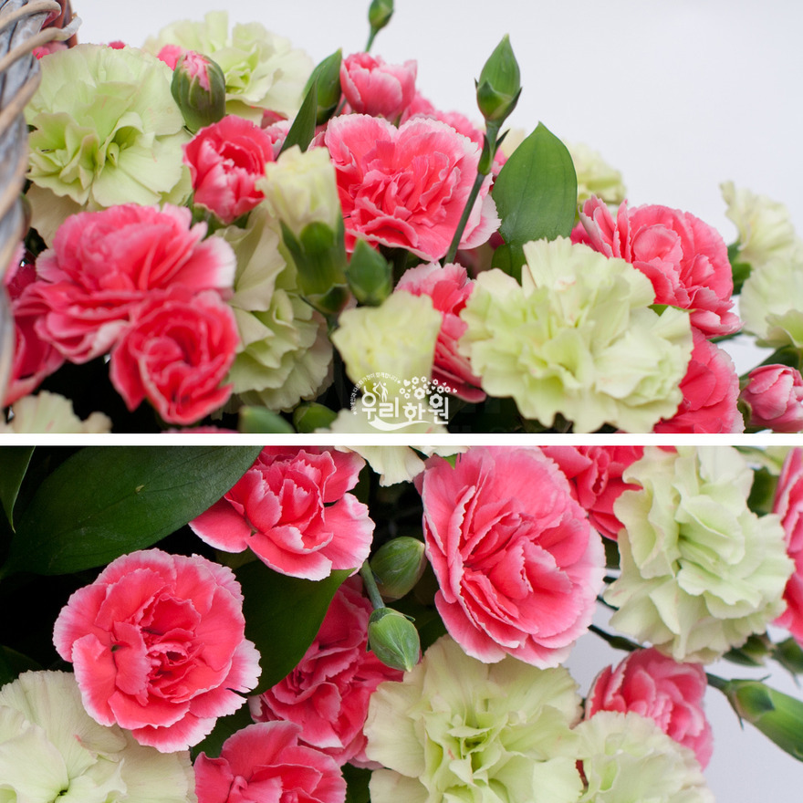 rac2072_3 상세이미지