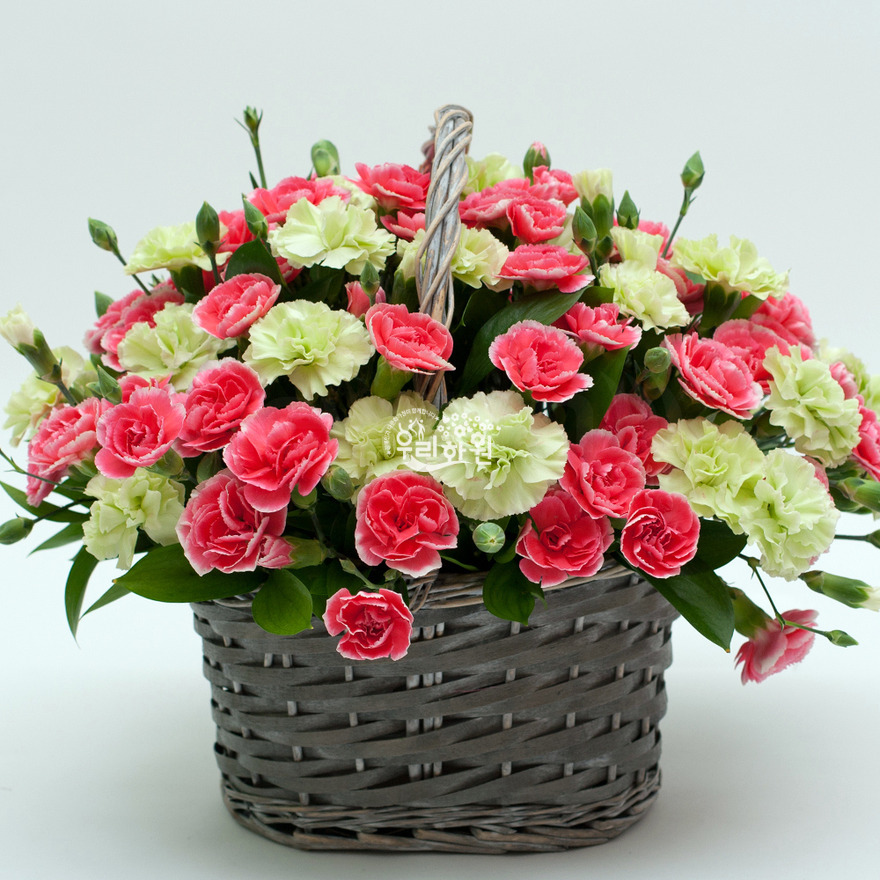 rac2072_6 상세이미지