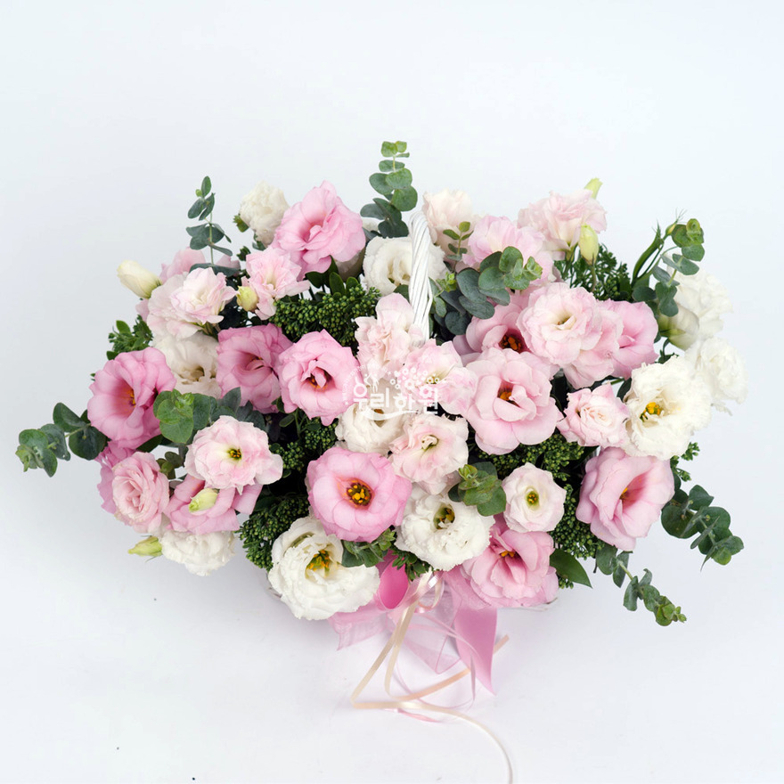 rac2125_1 상세이미지